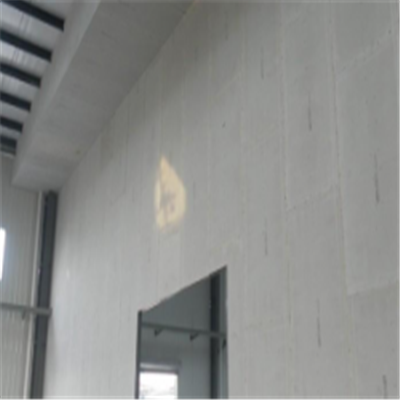 尖草坪宁波ALC板|EPS加气板隔墙与混凝土整浇联接的实验研讨